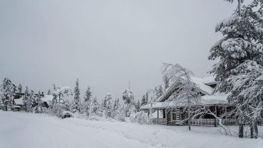 Lapland covered in snow is beautiful